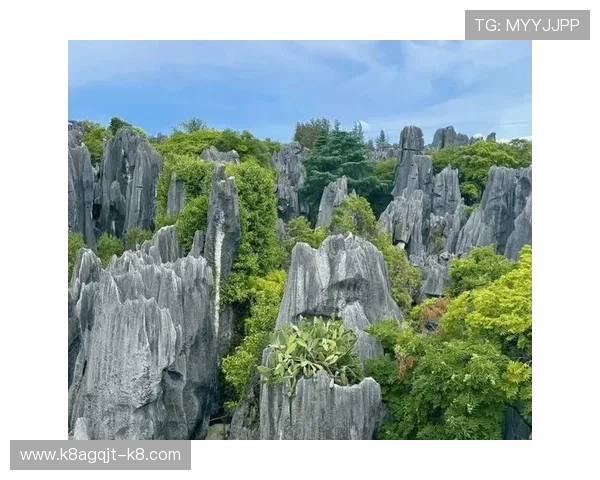 凯发注册游戏公司地址查询官网操作指南，帮助新手快速掌握查询流程与注意事项